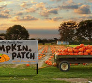 Banners for Winter Conditions