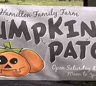 How to Choose Fonts for Banners