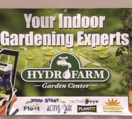 Good Filetypes for Banner Graphics