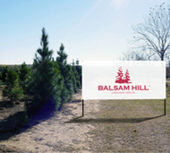 How to Use a Banner During the Holidays